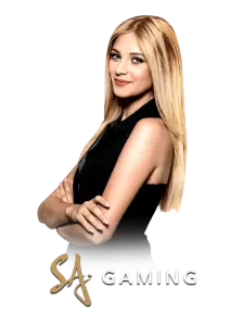 Saiga888-gaming